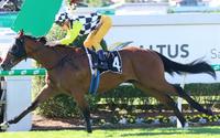 Purple Sector ends autumn on winning note!