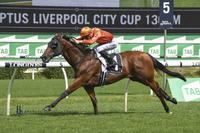 Dreamforce bounces back to win Group 3 Liverpool City Cup
