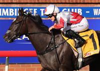 Commander returns to form to win MTC Guineas