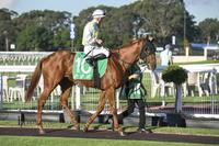 Primitivo Digs Deep at Warwick Farm