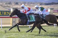 Impressive Maiden Victory for El Coyote