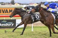 Laila De Vega scores gutsy maiden win
