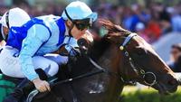 Australian Sires: Honorius Jumps to $11,000 inc GST in 2018