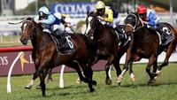 Honorius will Produce Quality 2yo’s