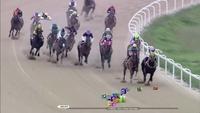 US Trained Horses Head to Korea