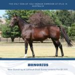 Australian Sires: Honorius