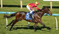 Australian Racing: Peter Gelagotis and Levendi