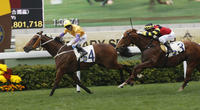 Hong Kong Horse Racing is About to Get Even Better