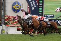 Hong Kong Racing: Happy Valley Preview Nov 28