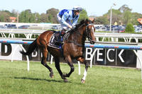 Knightsbridge have 3 runners in Saturday the 10th