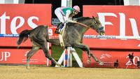 Breeders’ Cup: Keeneland Grads Dominate
