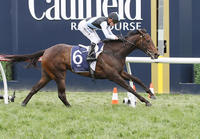 Australian Sires: Pierro Captures a Group3