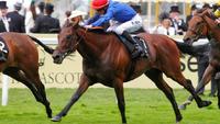 G3 Bendigo Cup