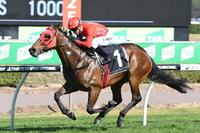 Arrowfield Own the Everest and Everything Else