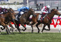 Fastnet Rock Dominates Flemington