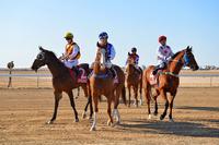 Gold Coast Raceday Focus – Preview Wednesday’s Meeting at Gold Coast Racecourse