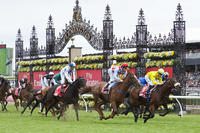 Watch the Melbourne Cup Live