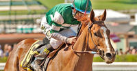Stellar Wind sold for $6 million at Keeneland November Breeding Stock Sale