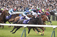 The 2017 Japan Cup Aidan O’Brien Takes on Asia