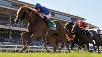 Dubawi Filly Takes G1 Breeders’ Cup Filly & Mare Turf at Del Mar