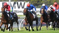 Investing in Horse Racing: Knightsbridge Bloodstock