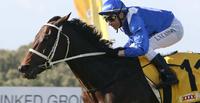 Coolmore Australia Dominate Caulfield Spring Carnival