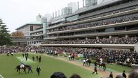 Asia Dominates Racing at the Moment