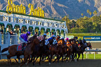 Knightsbridge Head to California with Jerry Hollendorfer