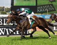 Here is your chance to race a Cluster (Fastnet Rock)