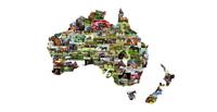Best Stallions in Australia are Joining Horseco Exchange