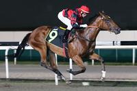 Larneuk Stud Well Represented at Singapore Races Tonight