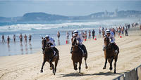 Magic Millions Launches Horseco Exchange for 2018