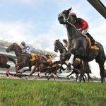 Singapore Horse Racing Preview for Friday Night