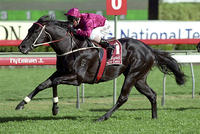 The Lonhro Legacy