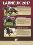 Australian Sires: Breeding Season Begins at Larneuk