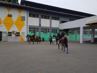 Singapore Horse Racing: Friday Night at Kranji