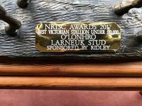 Larneuk Stud Wins at Northern Region Thoroughbreds Awards