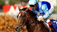 Larneuk Stud has Some Exciting Sires for 2017
