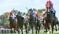 No Tan Tat Delivers Another Winning Weekend for Larneuk Stud
