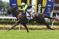 Australian Sires: Wolf Cry (Street Cry (IRE)) at Larneuk Stud