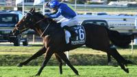 The Lonhro Family is Going Strong