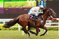 Singapore Horse Racing Friday Night Tips