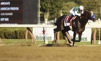Breeders’ Cup is the World’s Best Race Series
