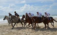 Knightsbridge Hunting Magic Millions Glory