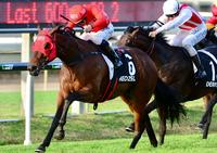 Red Roars In Doomben 10000