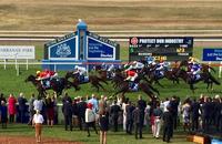 Guineas Victoire For France