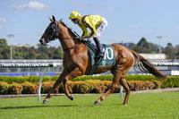 Seaglass Extends Winning Ways