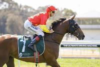 Star On The Rise