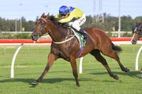 SATURDAY DOUBLE AT KEMBLA