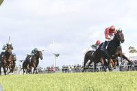 MOSS SUPERIOR IN SCONE GUINEAS